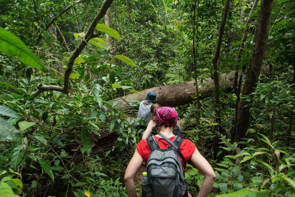 Thailand, Khao Yai National Park