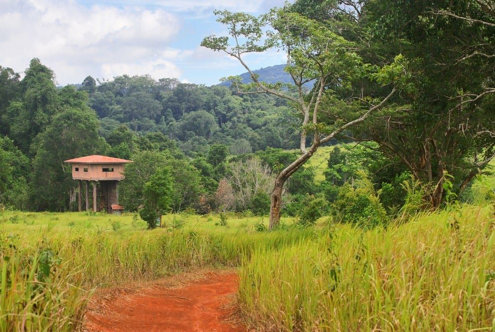 Thailand, Khao Yai National Park