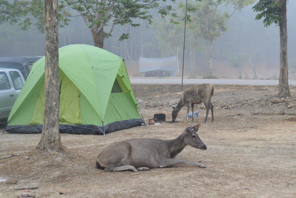 Thailand, Khao Yai National Park