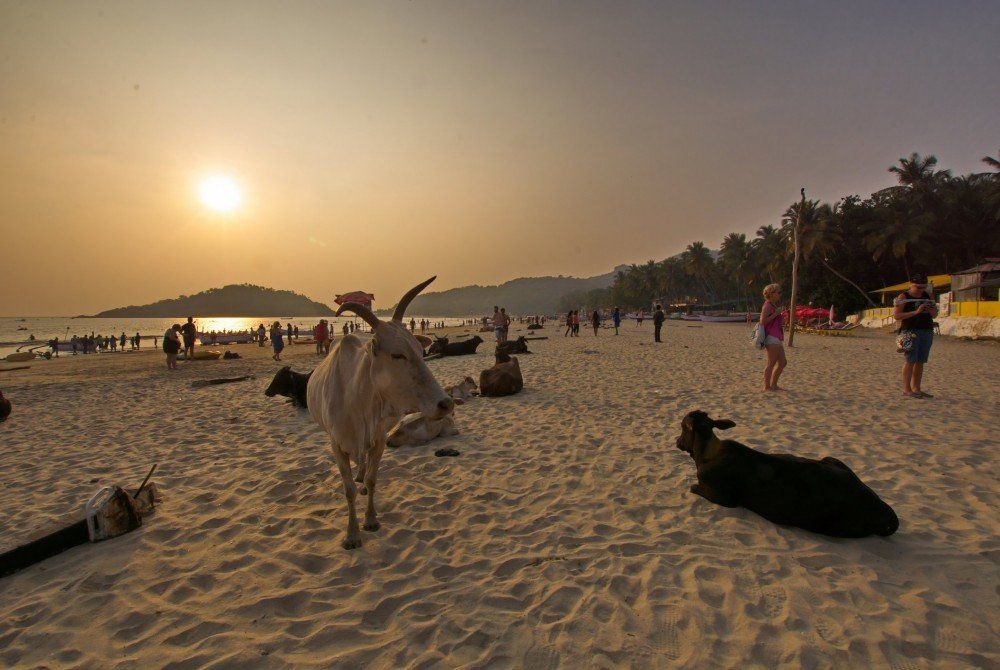 Goa, India