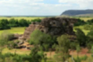 Het groene Australië: Kakadu National Park 