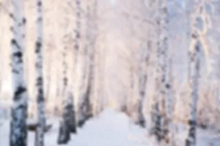 FOTOSERIE: Adembenemende winterlandschappen