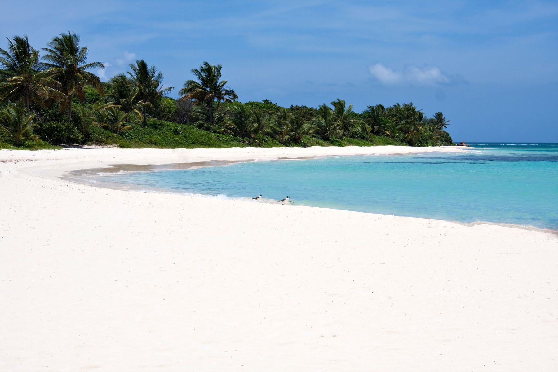 De Culebra & Vieques eilanden in Puerto Rico