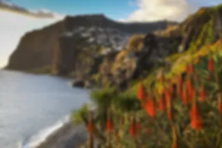Europa's beste eiland bestemming: Madeira