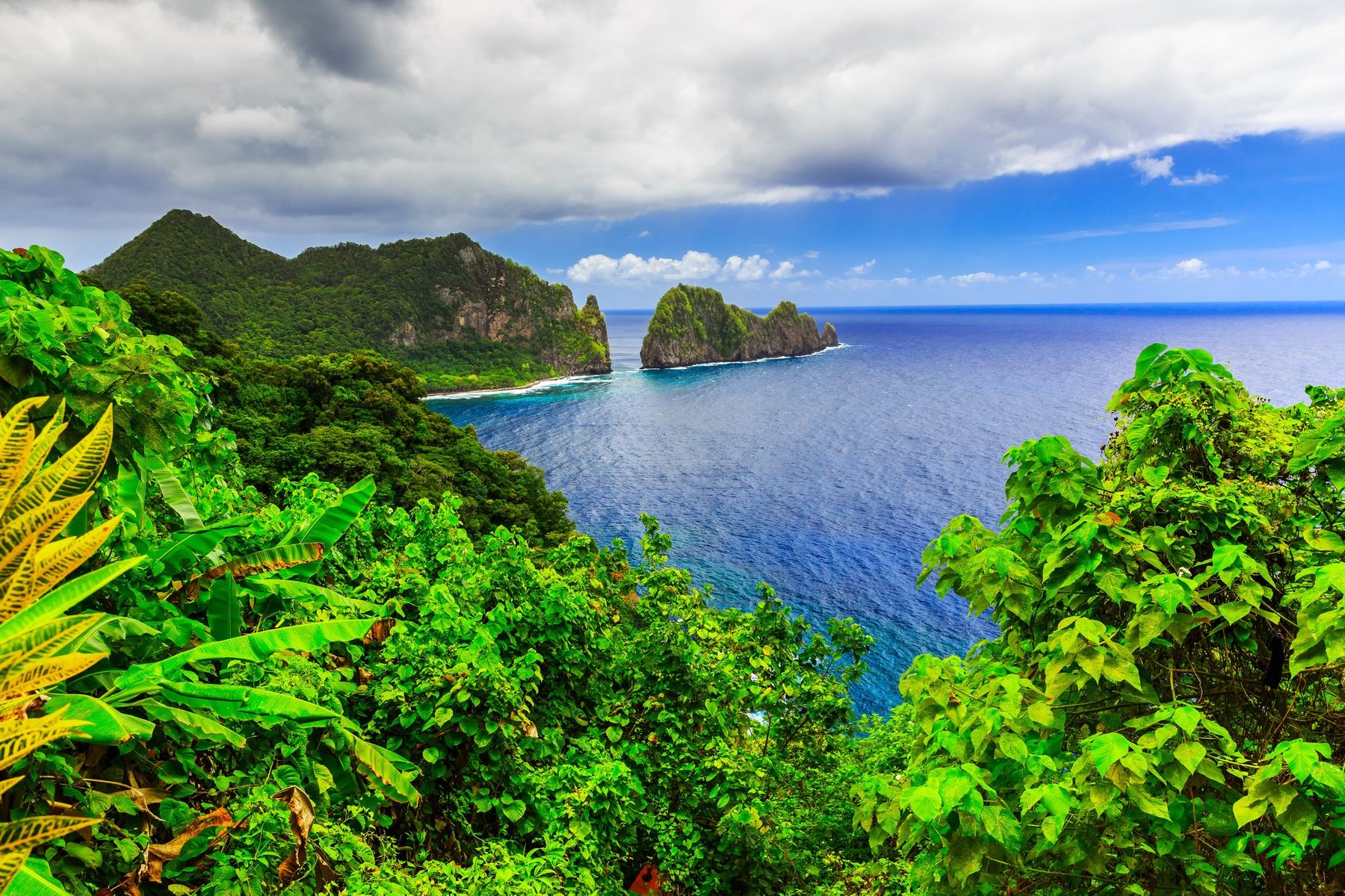 ok board american samoa