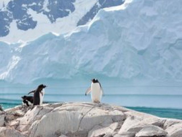Groepsrondreis Antarctica, Falklands en South Georgia