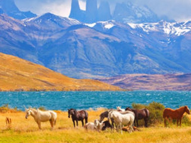 Groepsrondreis Patagonië