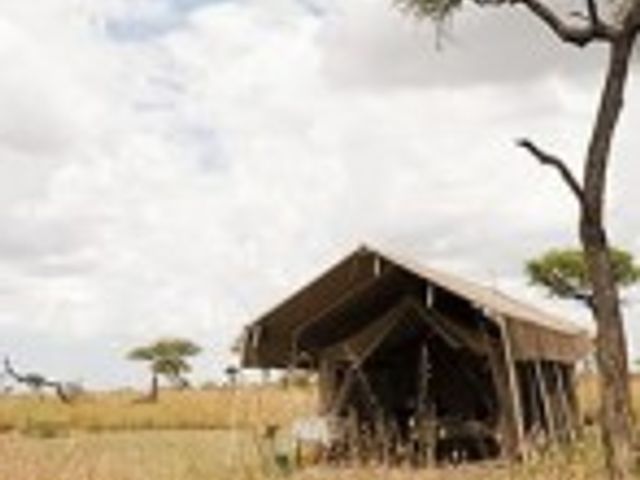 Privé safari in Tanzania voor natuurliefhebbers