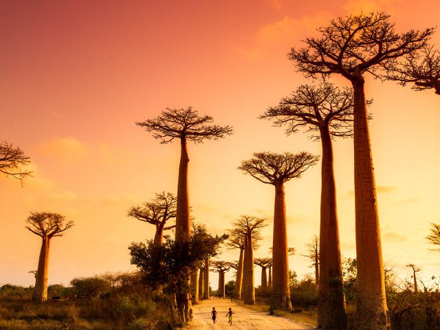 Madagaskar rondreis op maat | Better Places