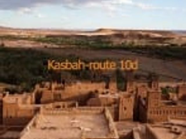 50 plus reizen Kasbah-route Reisdata: 13 maart & 20 maart 2021