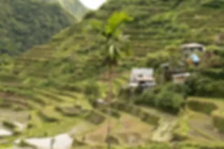 FOTOSERIE: 2.000 jaar oude rijstterrassen in de Filipijnen