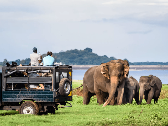 17-daagse groepsrondreis Sri Lanka's Mooiste van de Natuur