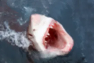 De meest angstaanjagende manier om 'Jaws' te kijken