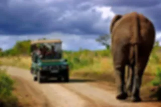 Fantastisch filmpje: Safari in Zuid-Afrika
