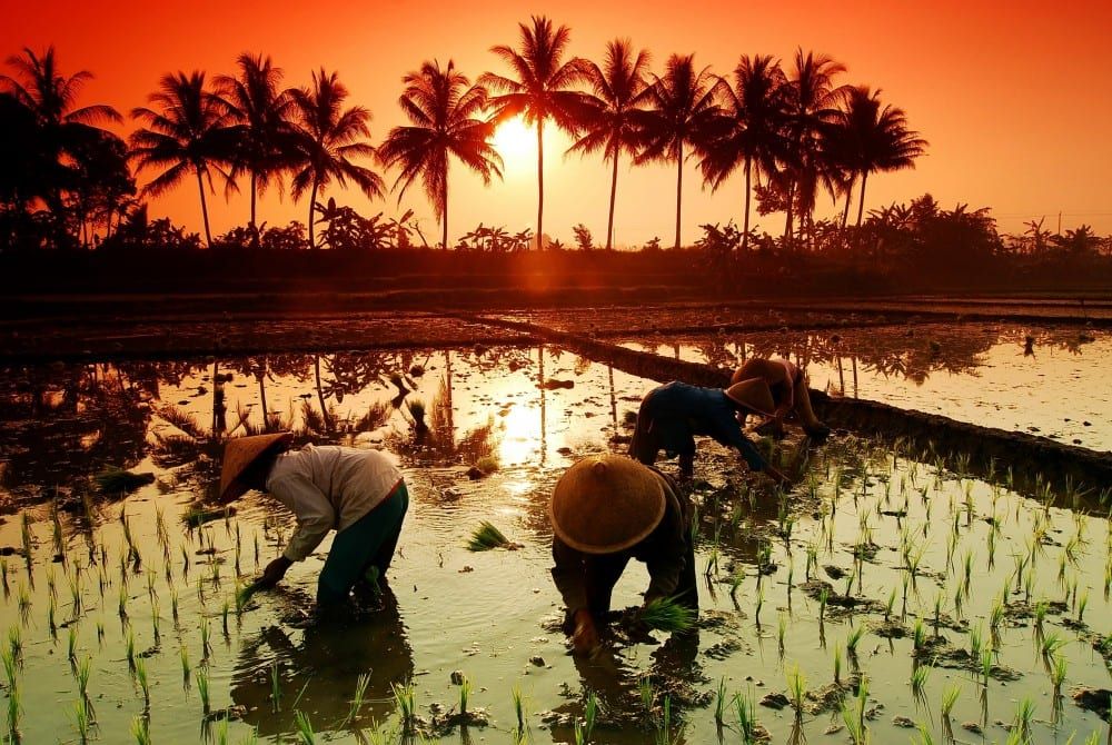 De 15 mooiste bezienswaardigheden van Indonesië