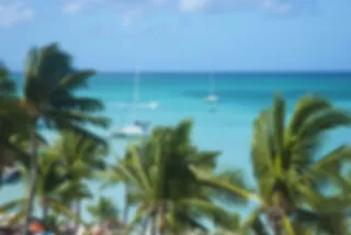 Bonaire: ultiem chillen op de Antillen