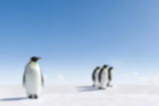 Bucketlist: een reis naar Antarctica