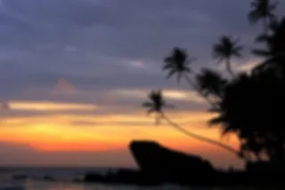 De 7 mooiste stranden van Sri Lanka