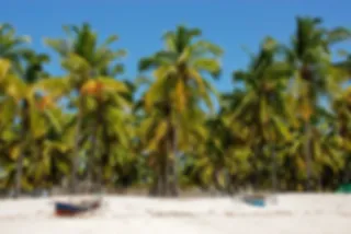 De mooiste plekken van Mozambique: top 10 bezienswaardigheden
