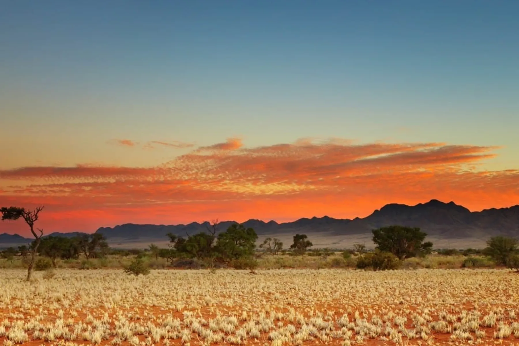 De Kalahari Woestijn Unieke Plek In Zuidelijk Afrika