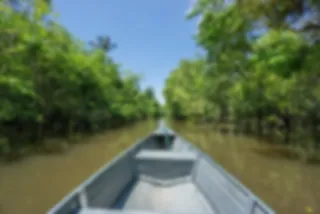 Must-do bij een rondreis Brazilië: ga de Amazone in!