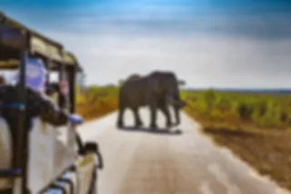 Op safari in Zuid-Afrika: hier wil je heen! (tips & route)