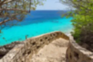 De mooie natuur op Bonaire
