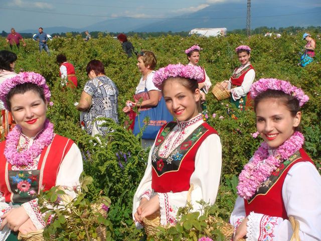 12-daagse ROZEN rondreis 'Fascinerend Bulgarije' incl. het Rozenfestival 2024