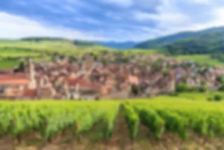De Elzas wijnroute: Ontdek de mooiste plekken + onze tips