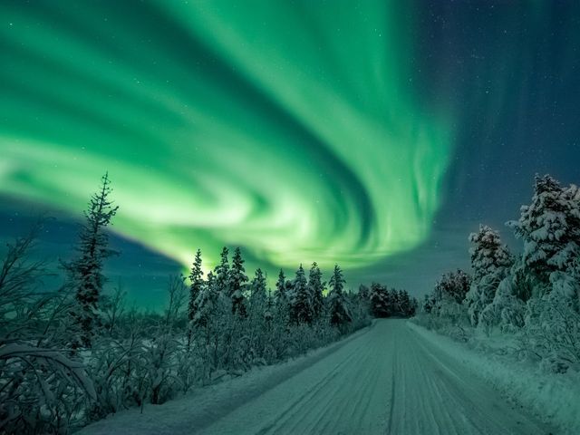 Zweeds Lapland: Huskeyâs, sneeuwscooters en het noorderlicht