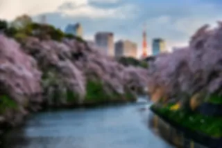 Reisadvies Japan: Tokio is veilig