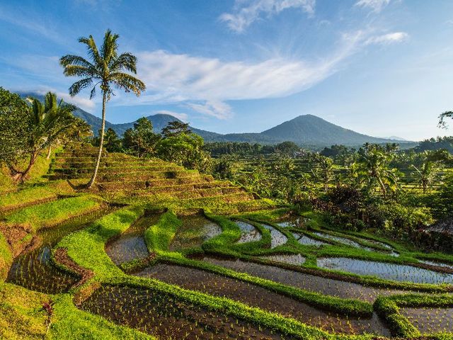 17-Daagse rondreis Java en Bali
