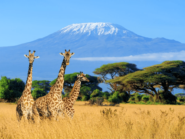 12-daagse privérondreis Out of Africa - Kenia