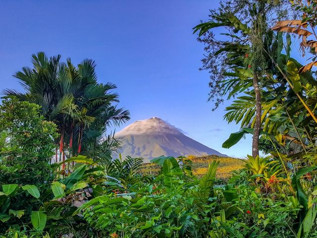 Best Deal Costa Rica Nevelwouden en Vulkanen