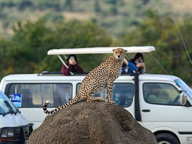 Safari Kenia Highlights Deluxe