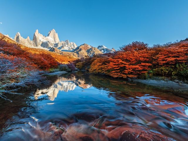 Highlights Vuurland en Gletsjers van Patagonië