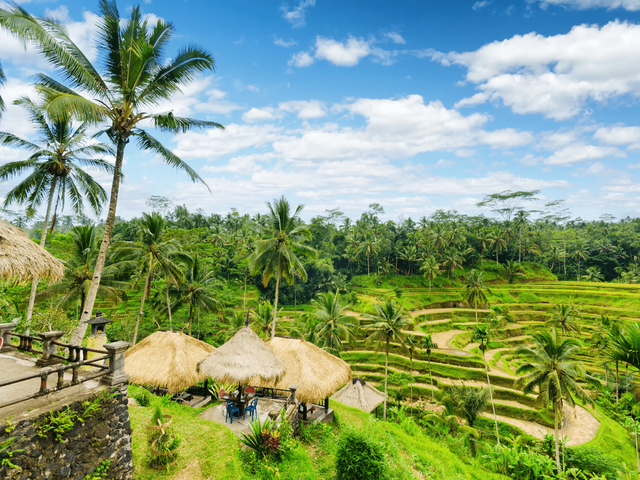 17-daagse groepsrondreis Bali