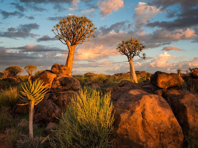 Autorondreis Namibië: Natuurwonderen van Namibië