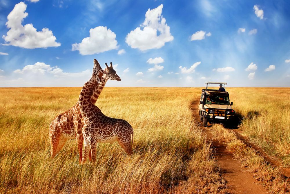safari reis tanzania