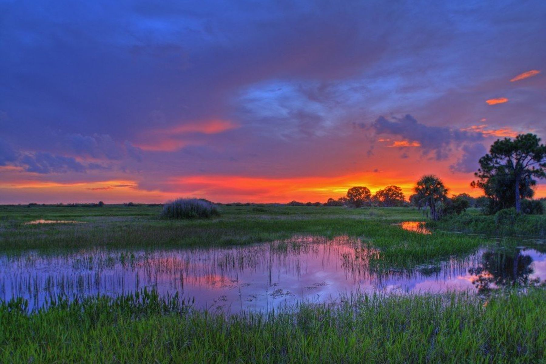 florida everglades tourism