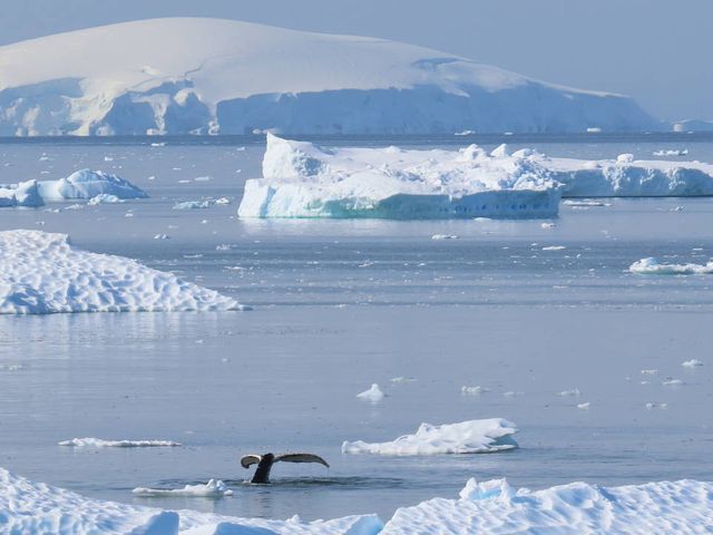 Once in a lifetime experience to Antarctica