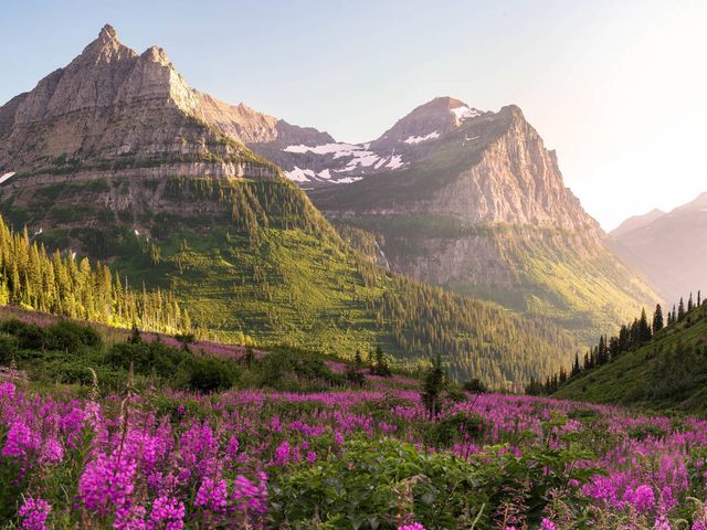 Experience the pristine nature of the Rockies and Northwest