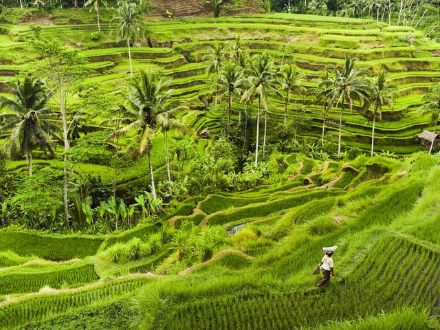 A Balinese Escape