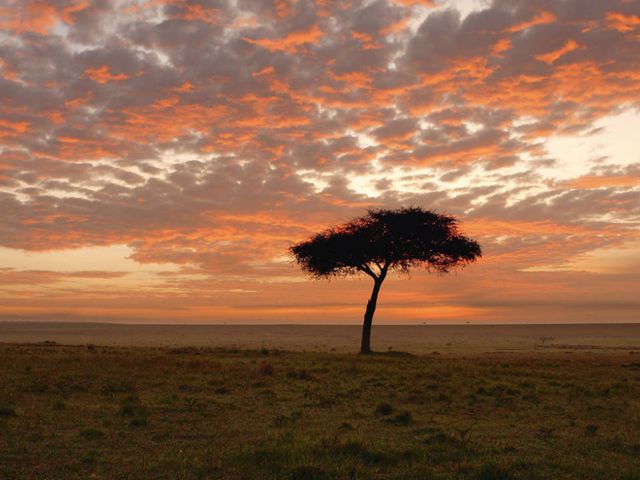 Explore the Great Nature of Kenya