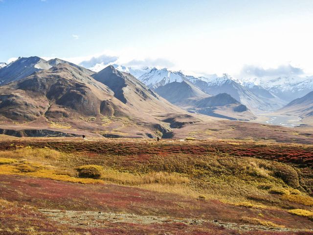 Explore the Wilderness of Alaska & Yukon