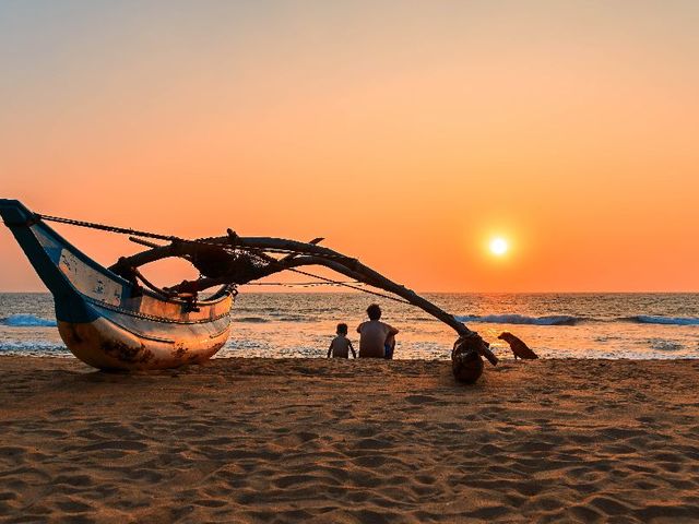 18-Daagse Hotdeal Sri Lanka Highlights & Beach (Zuid)