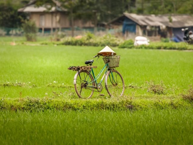 17-Daagse rondreis Duurzaam Vietnam