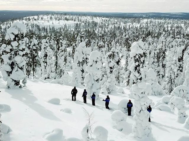 Levi & YllÃ¤s: in de wildernis van Fins Lapland