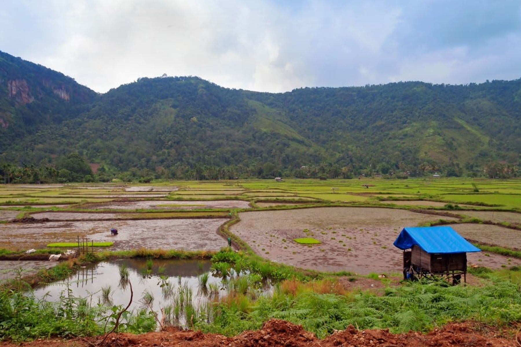 Harau Valley - Bezienswaardigheden Indonesië