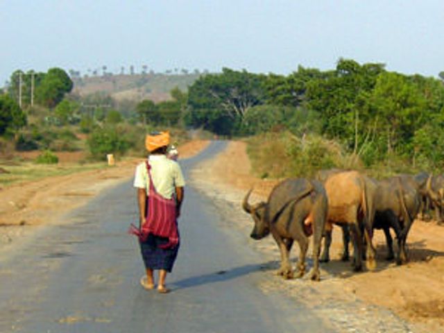 Rondreis 1: On the road to Mandalay
